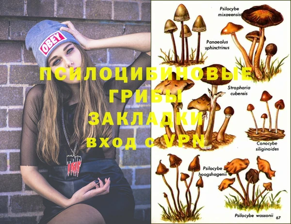 гашиш Алексеевка